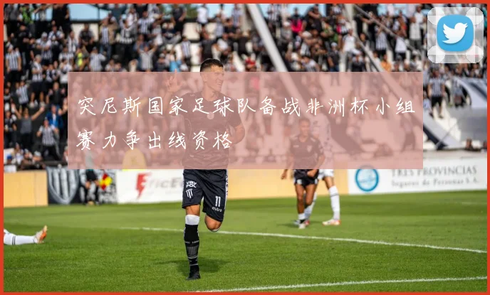 突尼斯国家足球队备战非洲杯小组赛力争出线资格