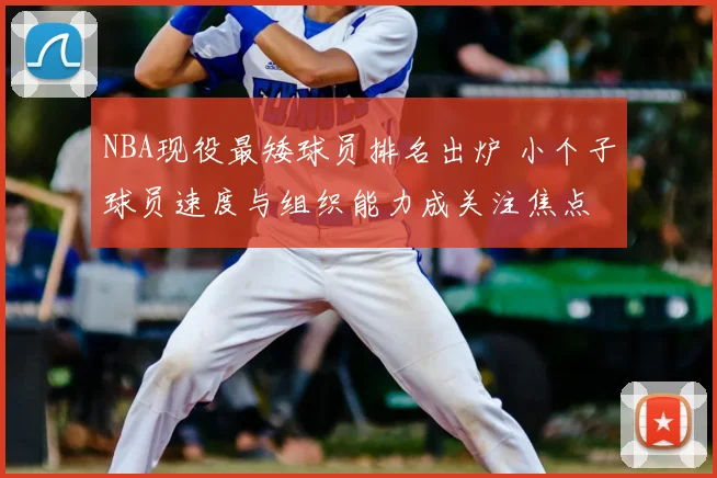 NBA现役最矮球员排名出炉 小个子球员速度与组织能力成关注焦点