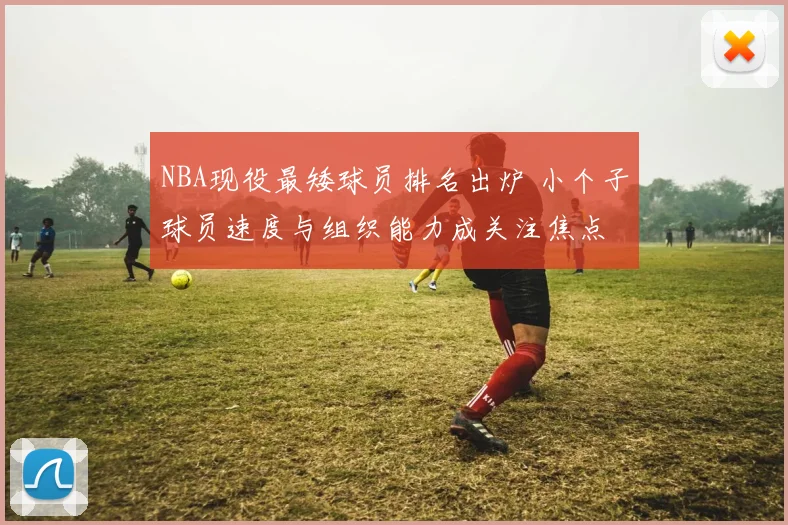 NBA现役最矮球员排名出炉 小个子球员速度与组织能力成关注焦点