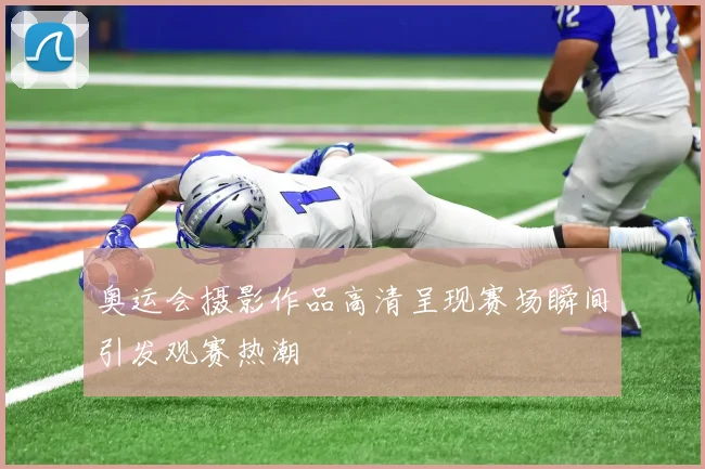 奥运会摄影作品高清呈现赛场瞬间引发观赛热潮