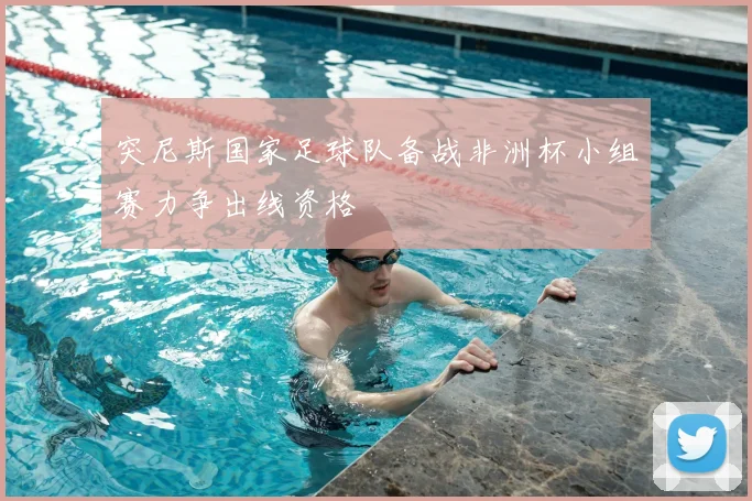 突尼斯国家足球队备战非洲杯小组赛力争出线资格
