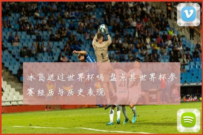 冰岛进过世界杯吗 盘点其世界杯参赛经历与历史表现