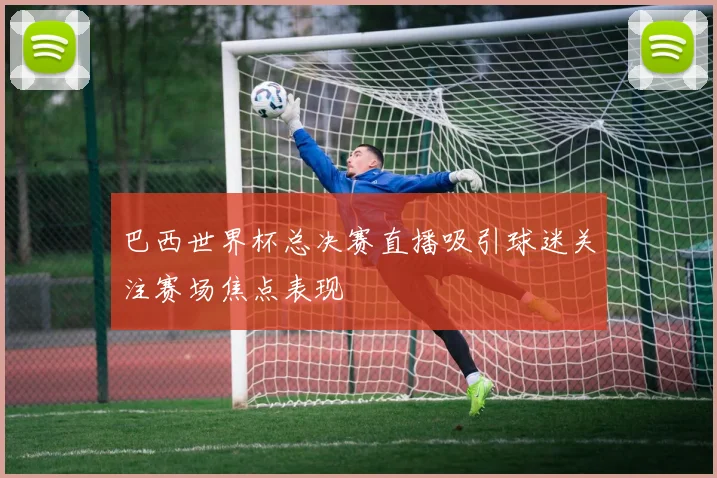 巴西世界杯总决赛直播吸引球迷关注赛场焦点表现