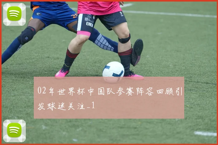 02年世界杯中国队参赛阵容回顾引发球迷关注_1