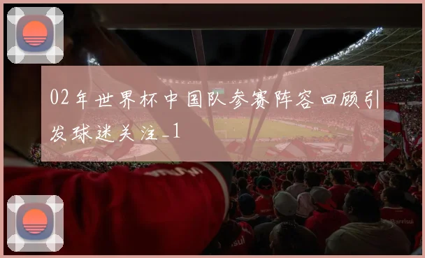 02年世界杯中国队参赛阵容回顾引发球迷关注_1