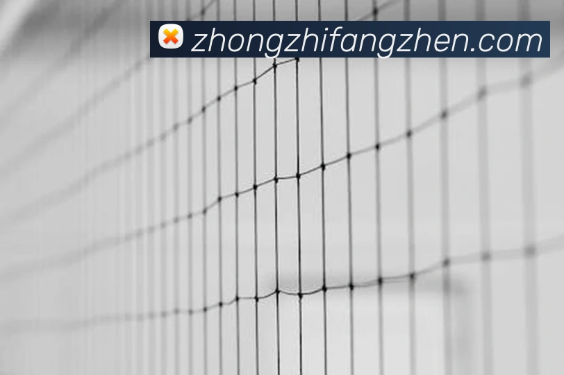 投注app官网发展历程